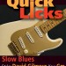 Press Release- January 2010 Lick Library’s extensive range of guitar tuition DVDs has just got bigger with...